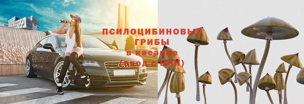 трава Абинск