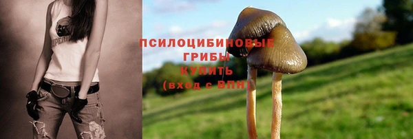 спиды Абаза