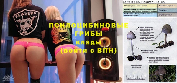 метамфетамин Алексин