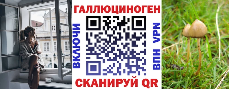Псилоцибиновые грибы ЛСД  блэк спрут ссылка  Камышлов 